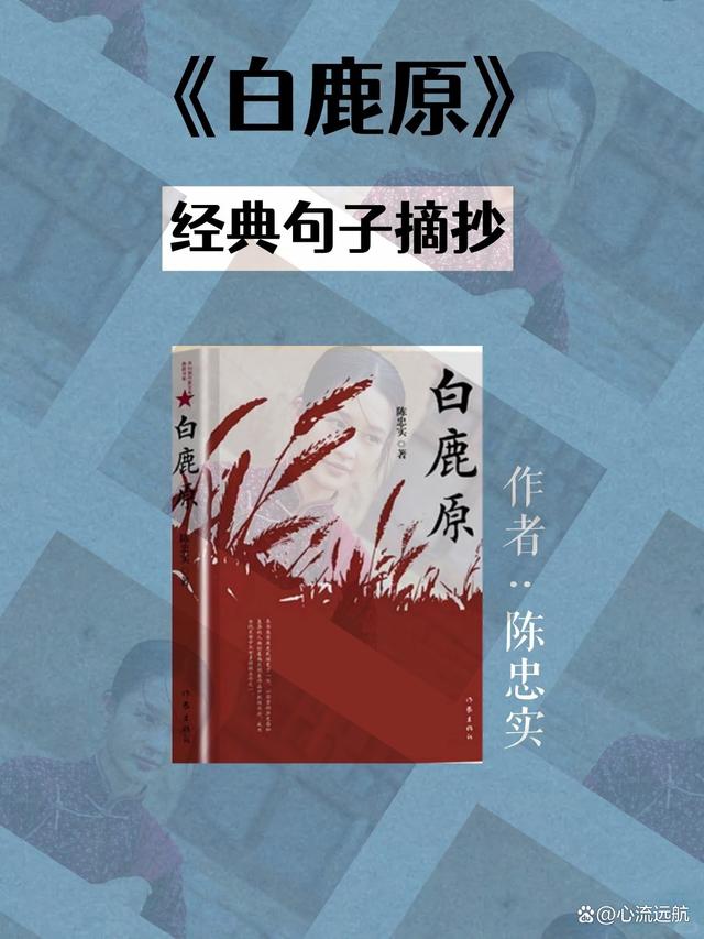 白鹿原小说下载_(白鹿原小说下载网盘)