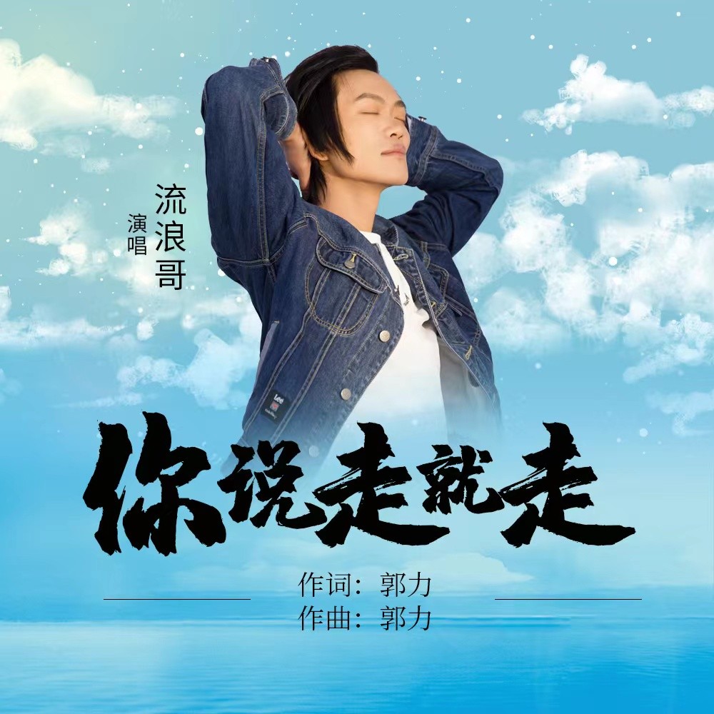 流浪mp3下载(流浪歌曲下载免费)