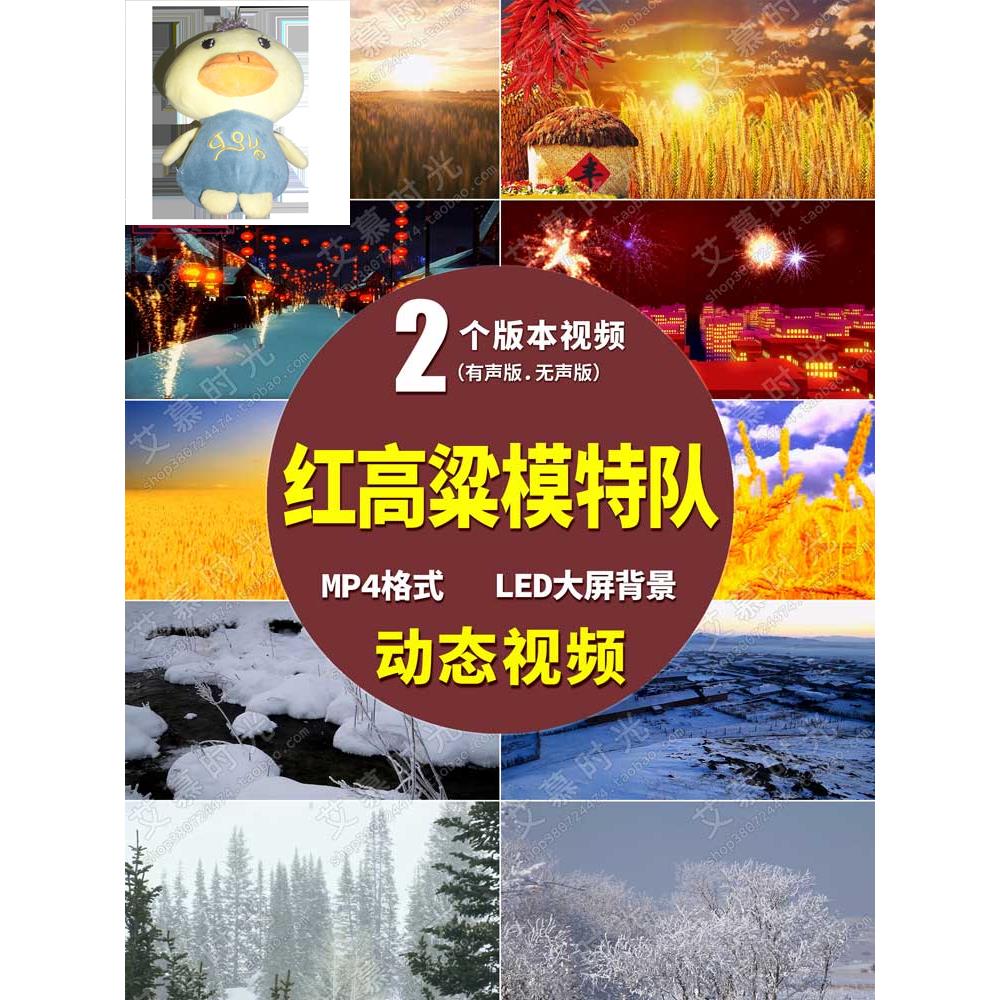 模特背景展示视频素材下载(模特背景展示视频素材下载软件)