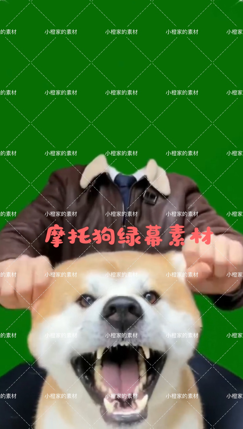 真实搞怪整人视频素材下载_(真实搞怪整人视频素材下载软件)