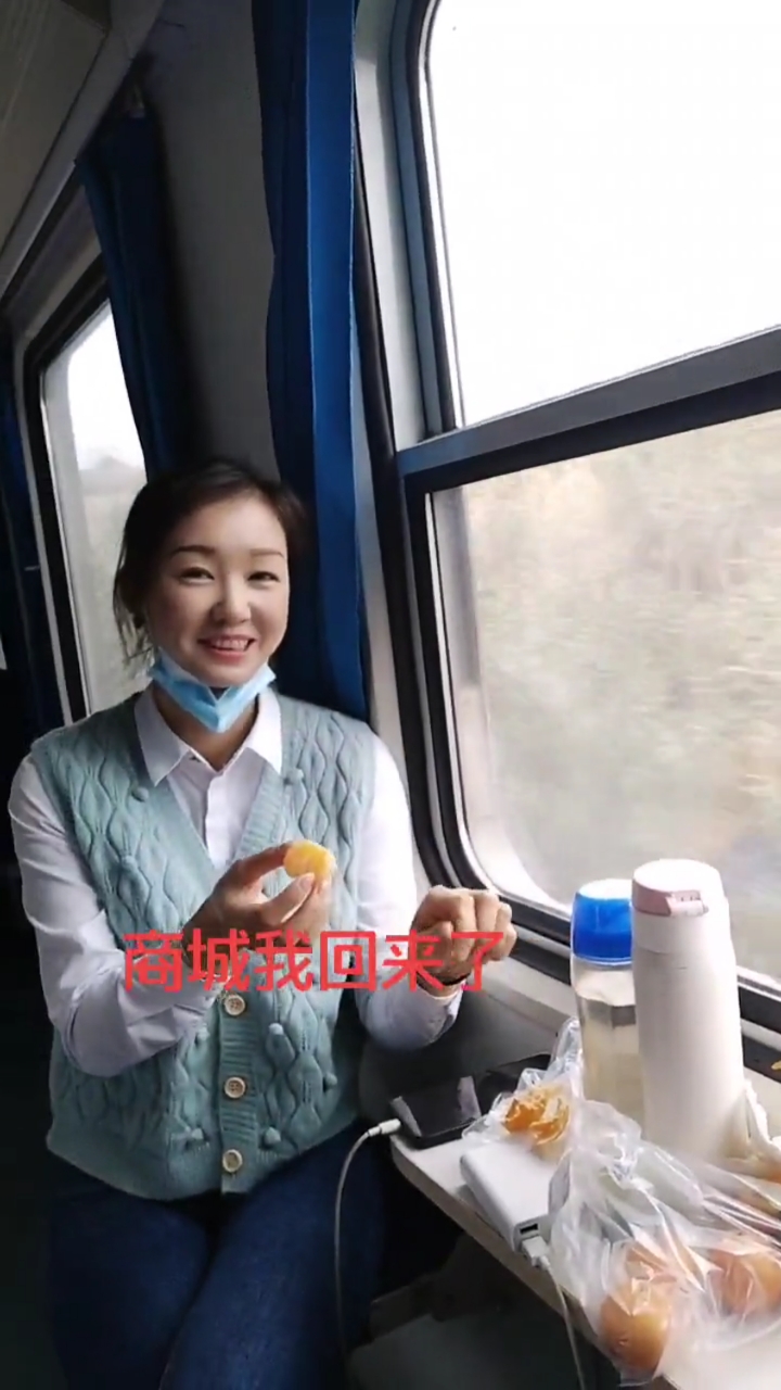 手机模拟坐车回家软件下载_(手机模拟坐车回家软件下载安装)