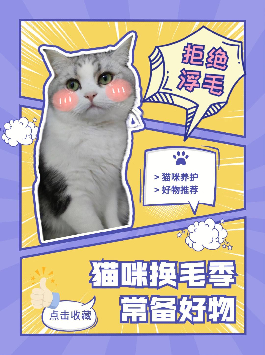 猫咪养护大师免费下载-(养猫助手app软件哪个最好)