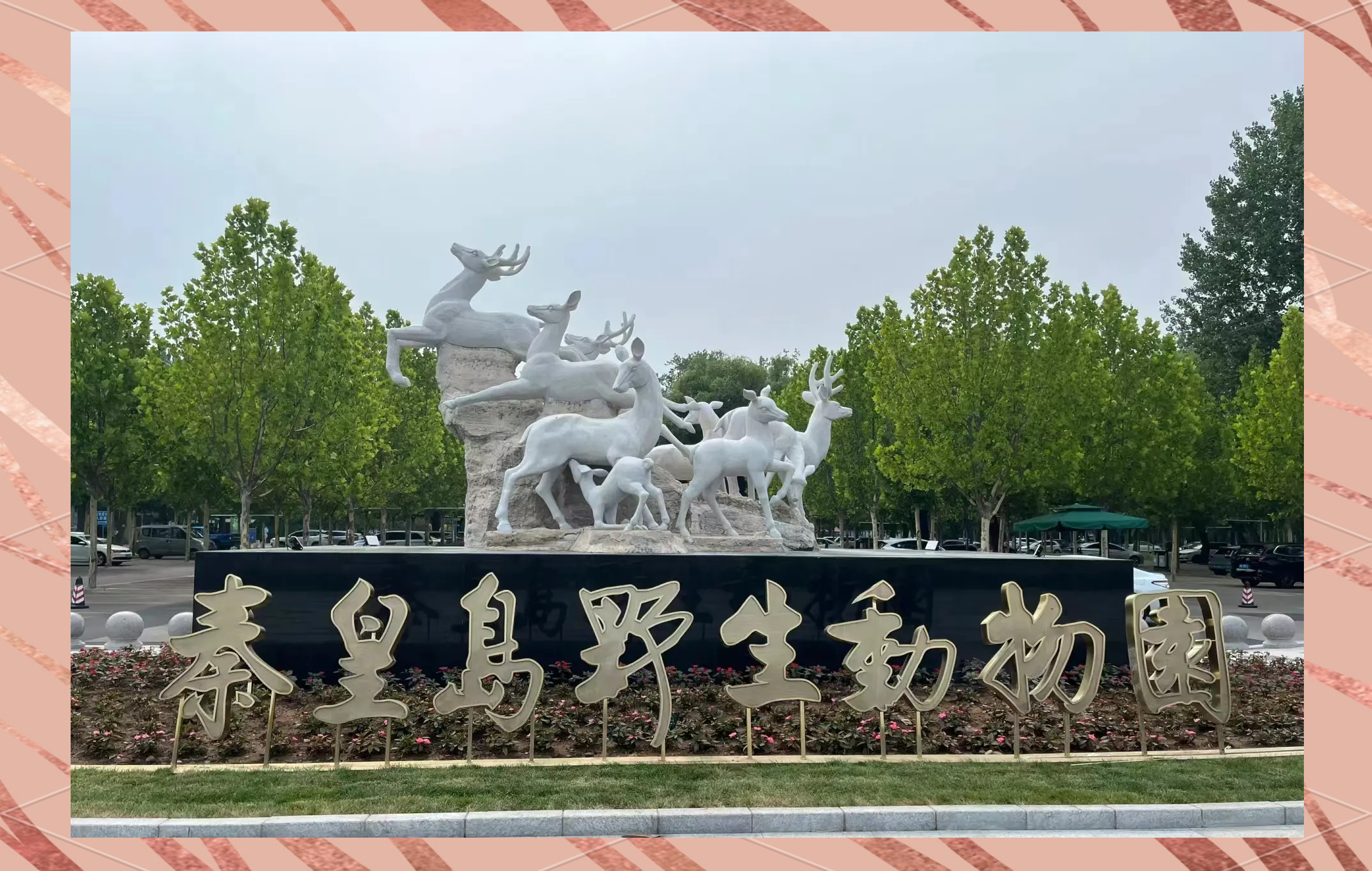 秦皇岛地标讲解视频下载_(秦皇岛的标志性建筑是什么呀)